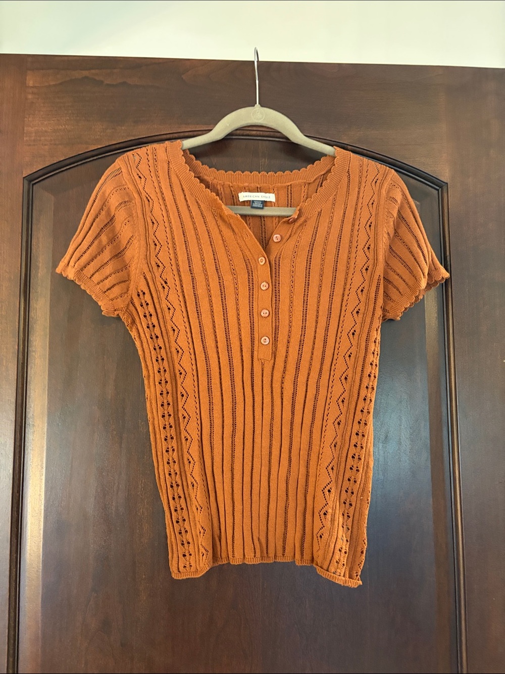 American Eagle Outfitters Short Sleeve Knit Henley Top - Rust Colored